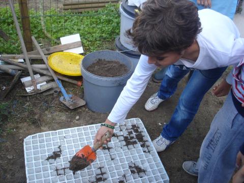 Os alunos fizeram as sementeiras de diversas plantas para depois serem transplantadas para a horta, quando tivessem um tamanho adequado. Aqui é a sementeira do 3.º ano,  de repolho, e que foi feita num suporte próprio, tendo sendo reutilizado.